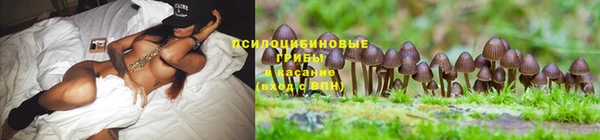 a pvp Армянск