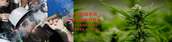 не бодяженный Аркадак