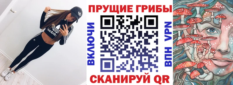 Псилоцибиновые грибы Psilocybine cubensis  магазин    Переславль-Залесский 